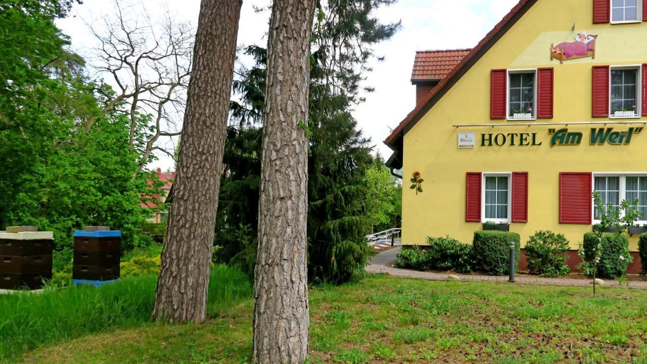 Hotel "Am Werl" Bad Saarow Ngoại thất bức ảnh